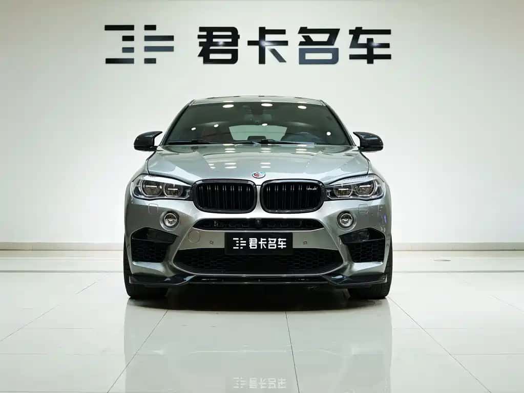 BMW BMW X6 M