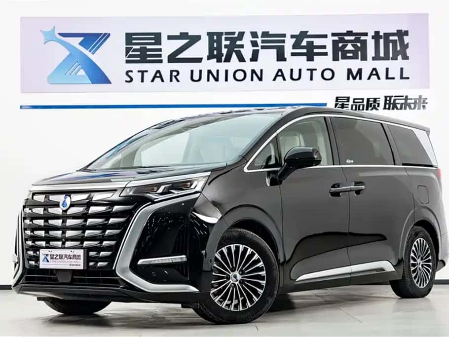 Denza Denza D9