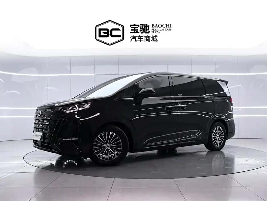 Denza Denza D9