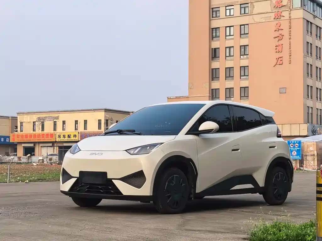 BYD Seagull