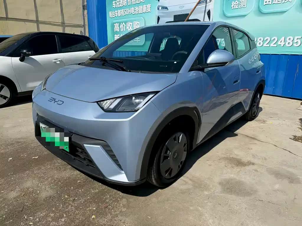 BYD Seagull