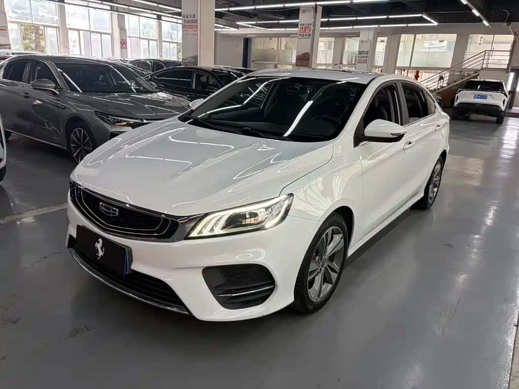 Geely Auto Binrui