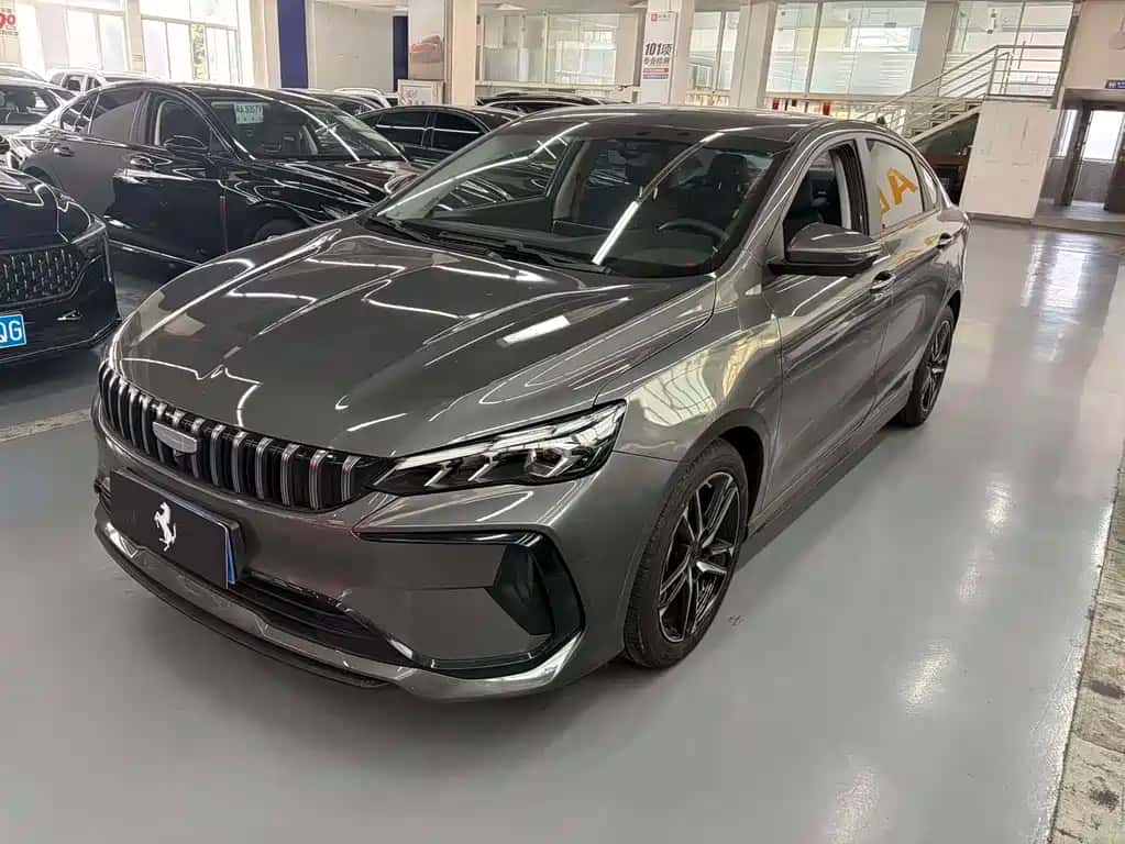Geely Auto Binrui