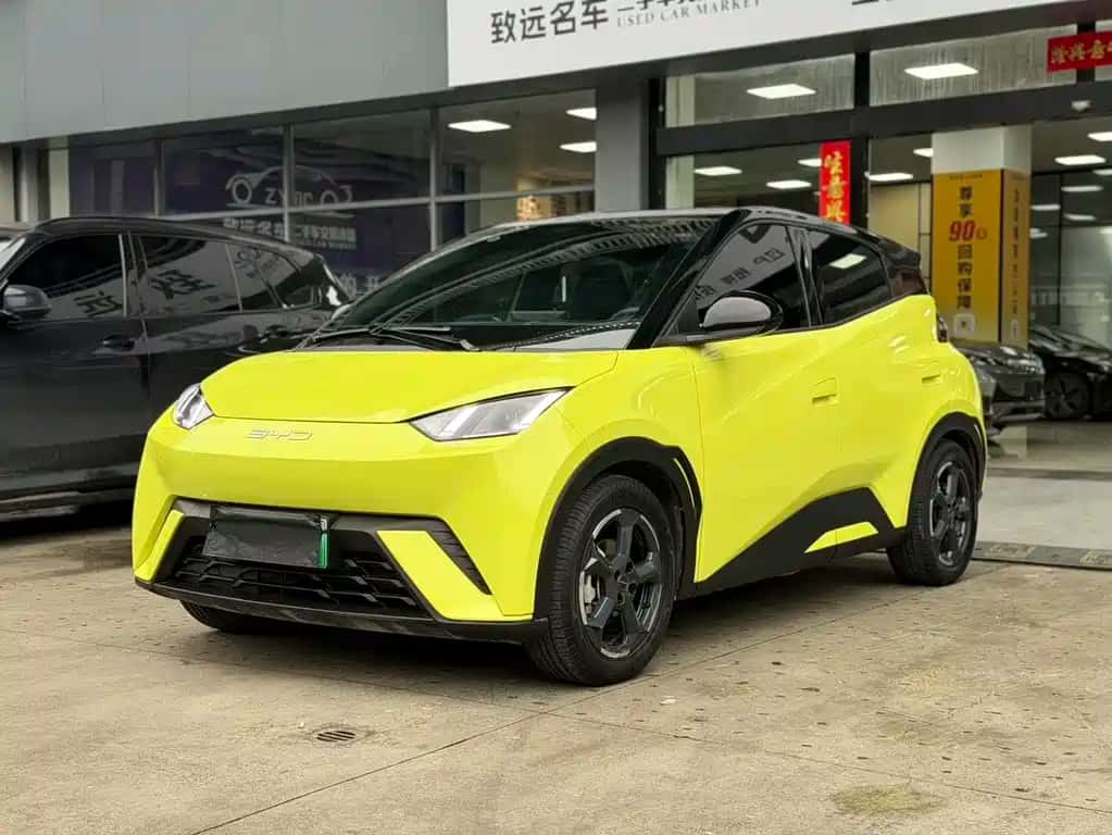 BYD Seagull