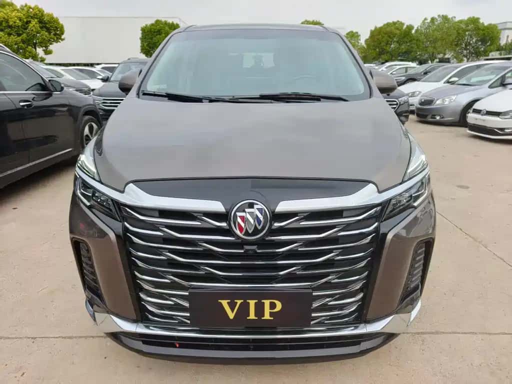 Buick Buick GL8