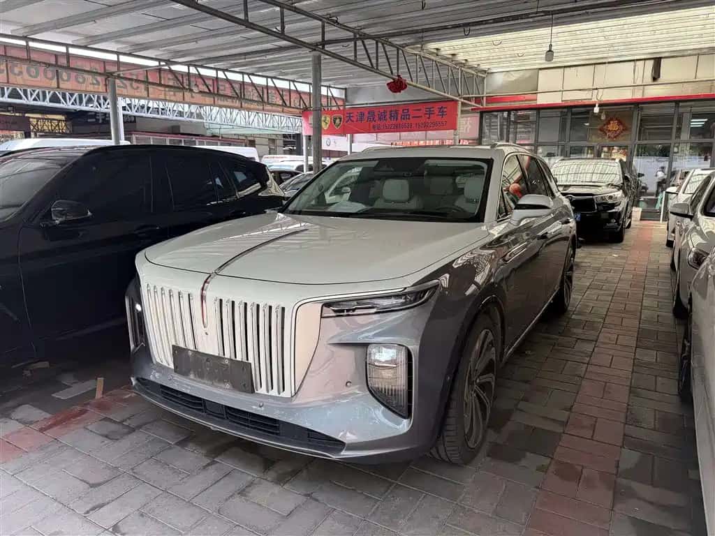 Hongqi Hongqi E-HS9