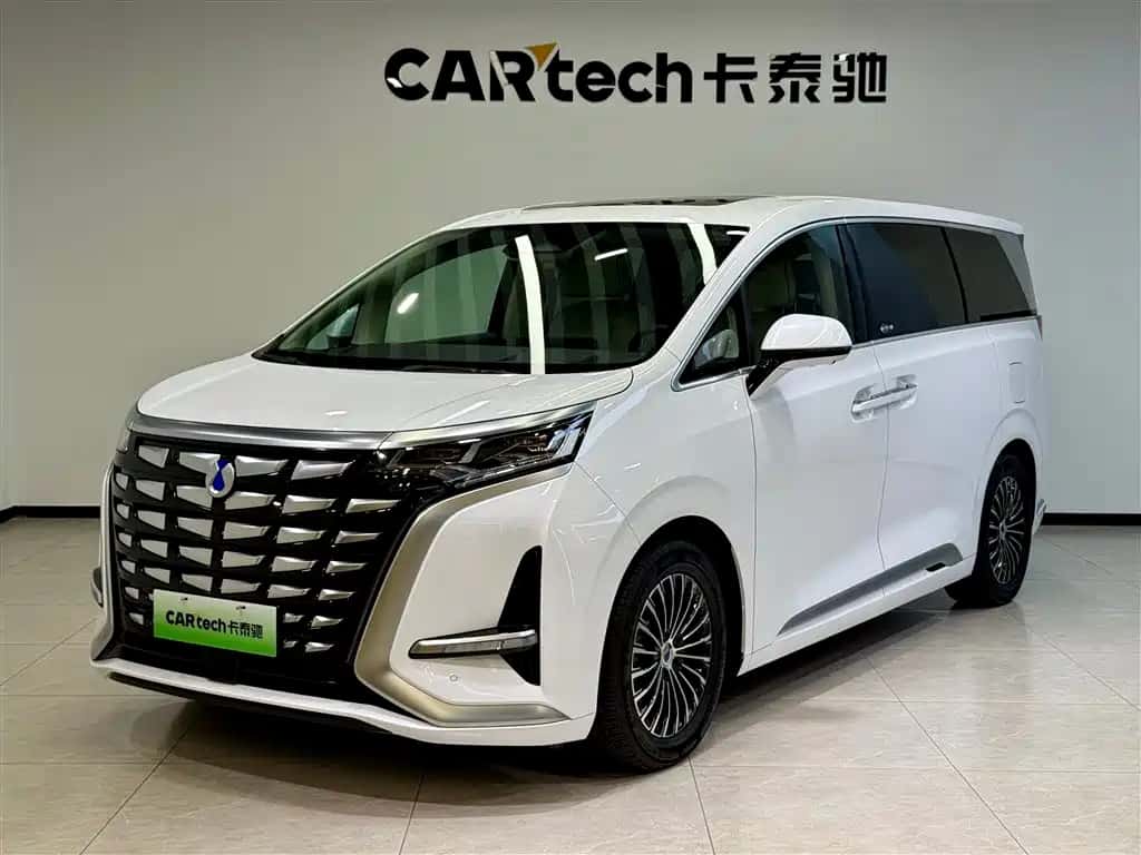 Denza Denza D9