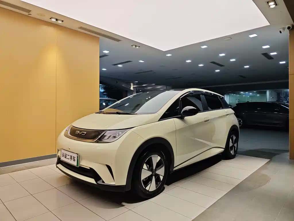 BYD Dolphin