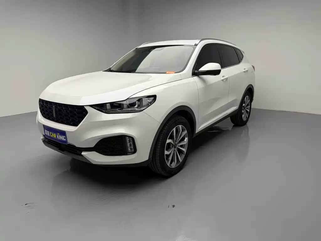 Wey WEY VV6