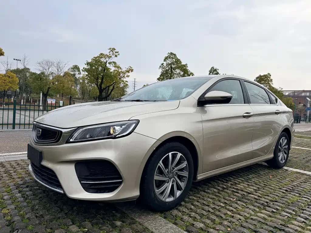 Geely Auto Binrui