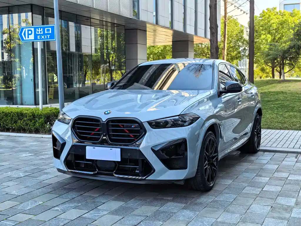 BMW BMW X6 M