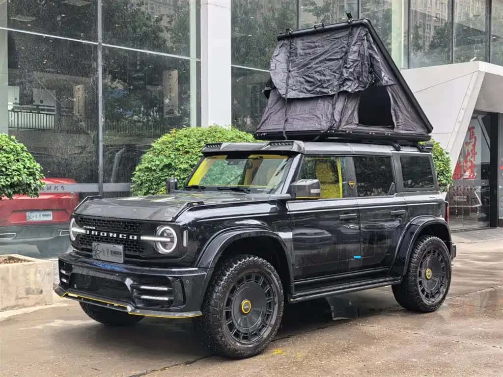 Mansery Mansery Bronco
