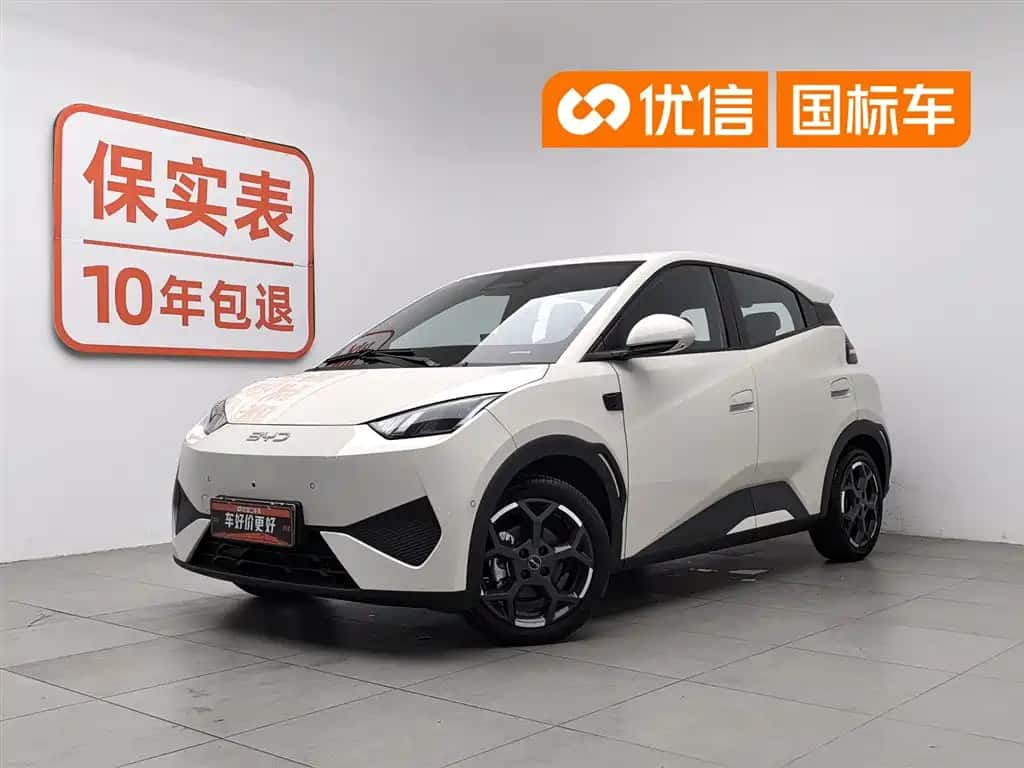 BYD Seagull