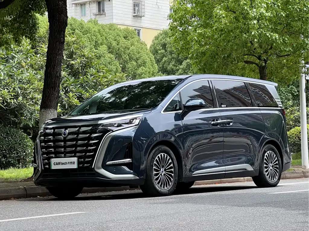 Denza Denza D9
