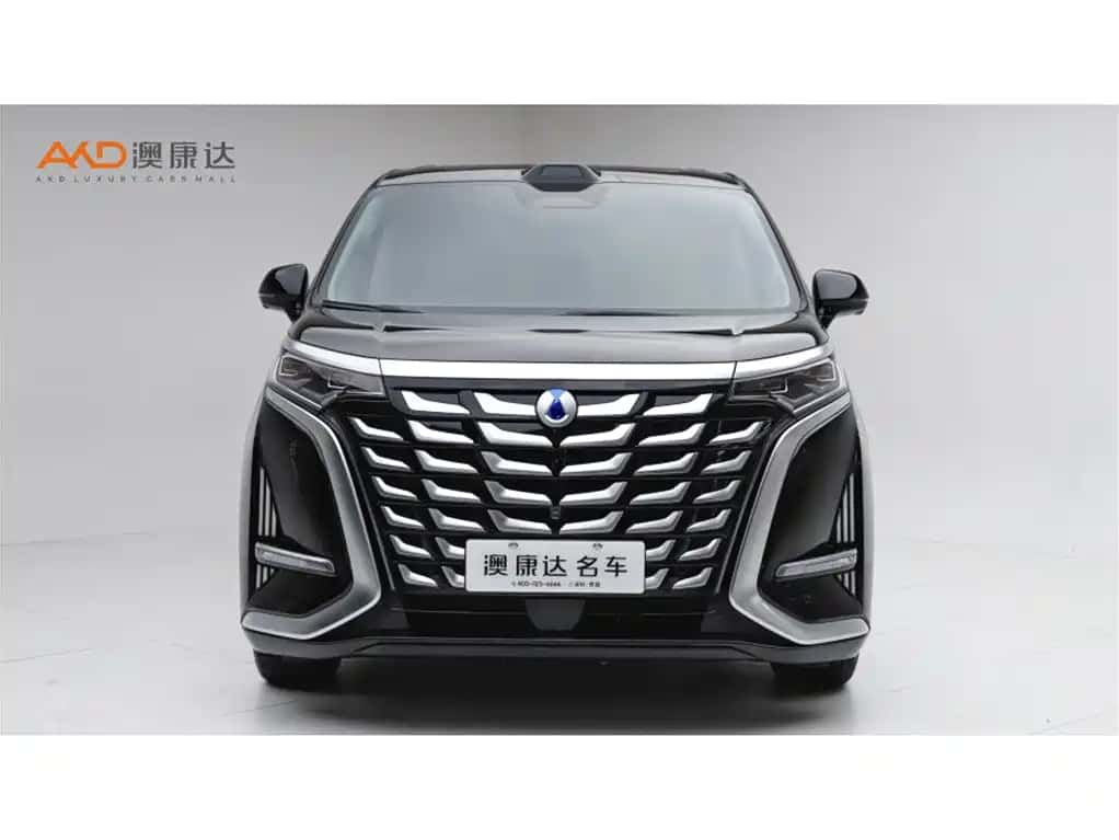Denza Denza D9