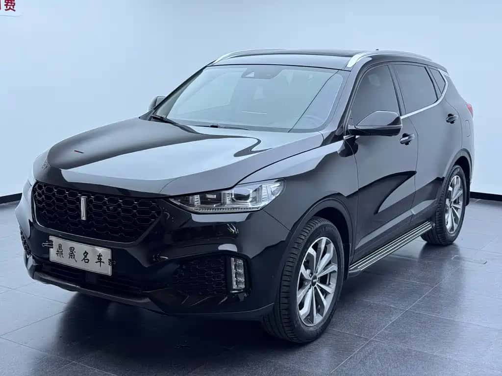 Wey WEY VV6