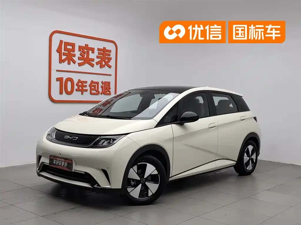 BYD Dolphin