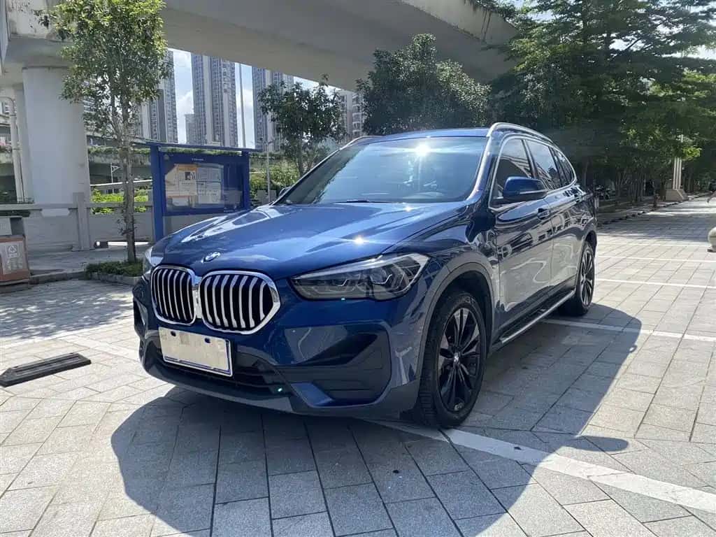 BMW BMW X1
