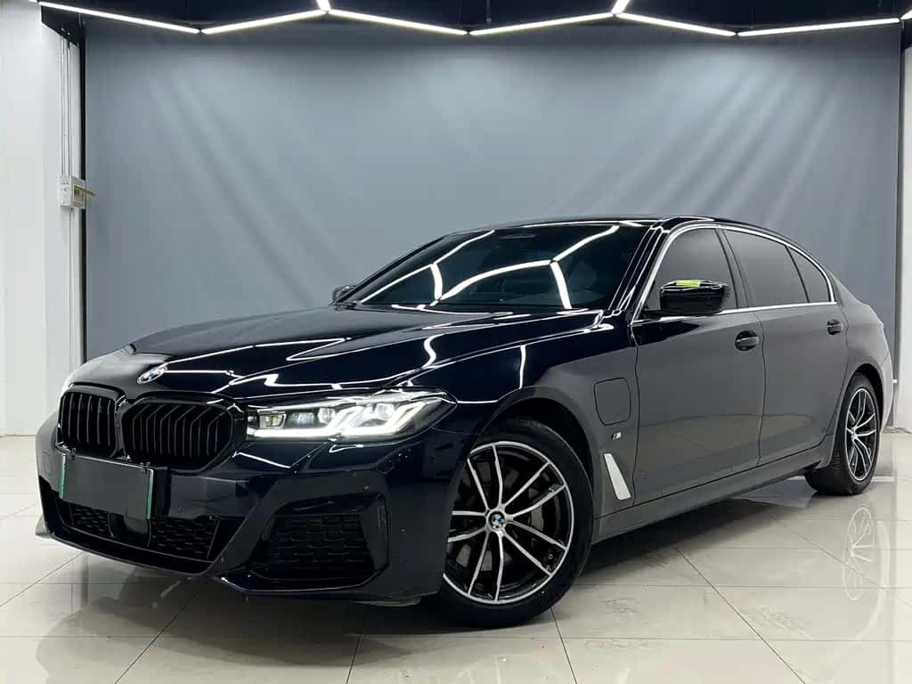 BMW BMW 5 Series New Energy
