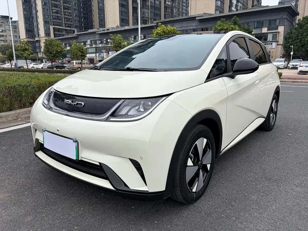 BYD Dolphin