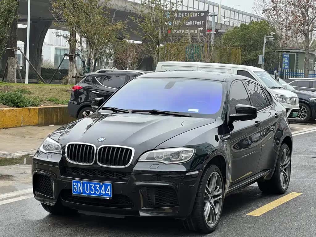 BMW BMW X6 M