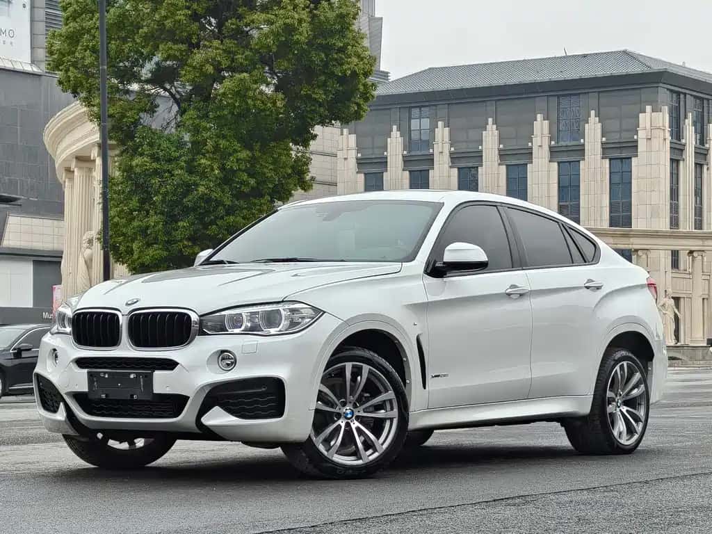 BMW BMW X6