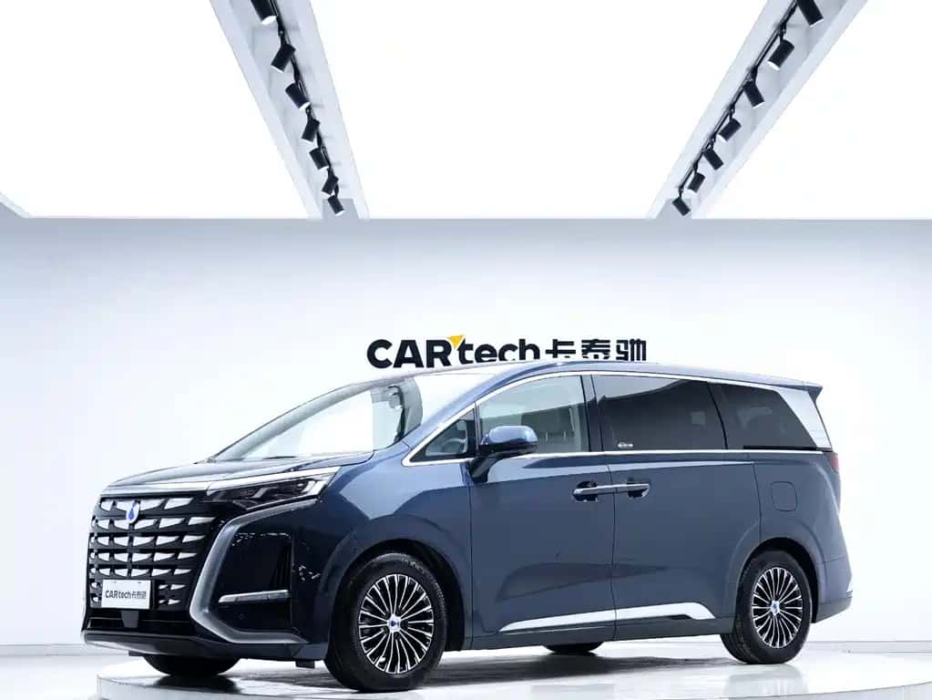 Denza Denza D9