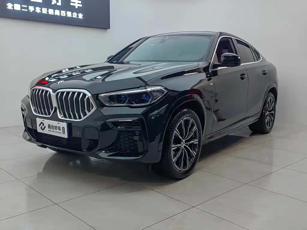 BMW BMW X6
