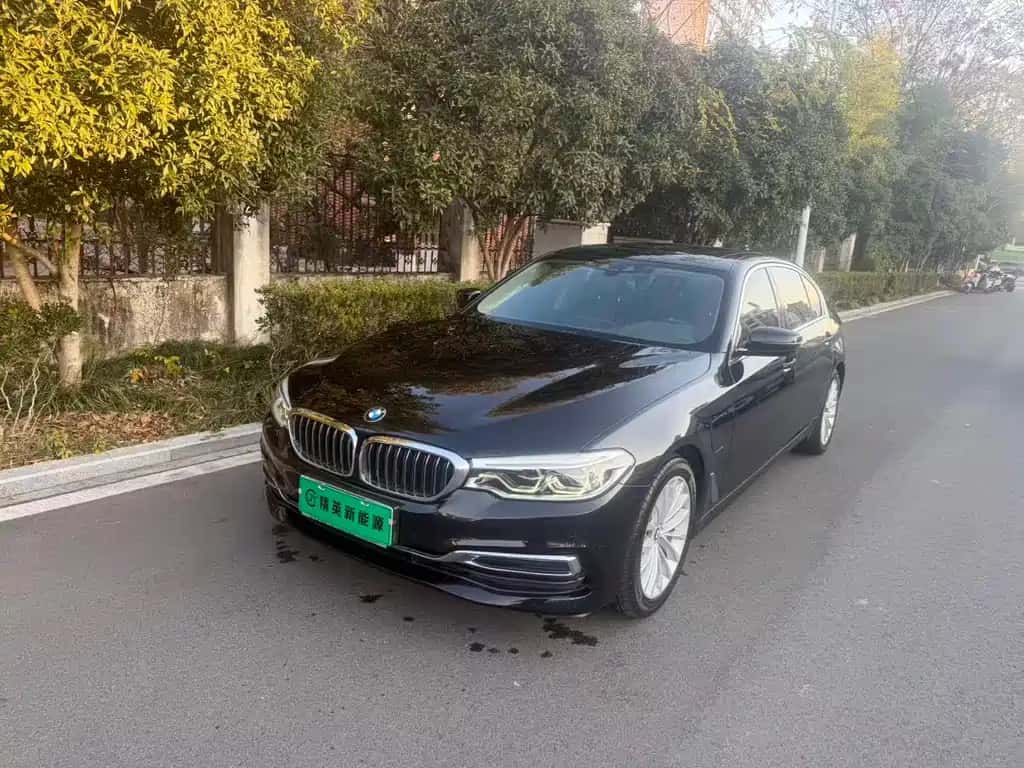 BMW BMW 5 Series New Energy