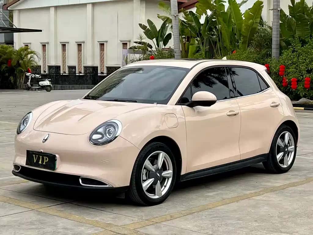 Ora Ora Good Cat