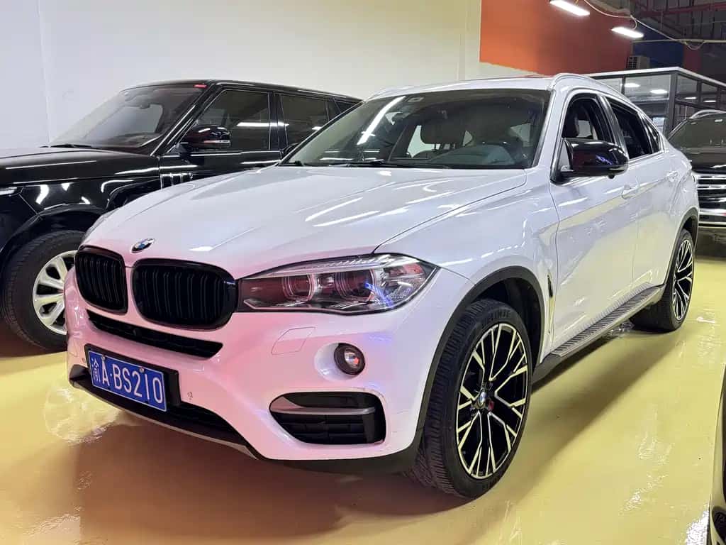 BMW BMW X6