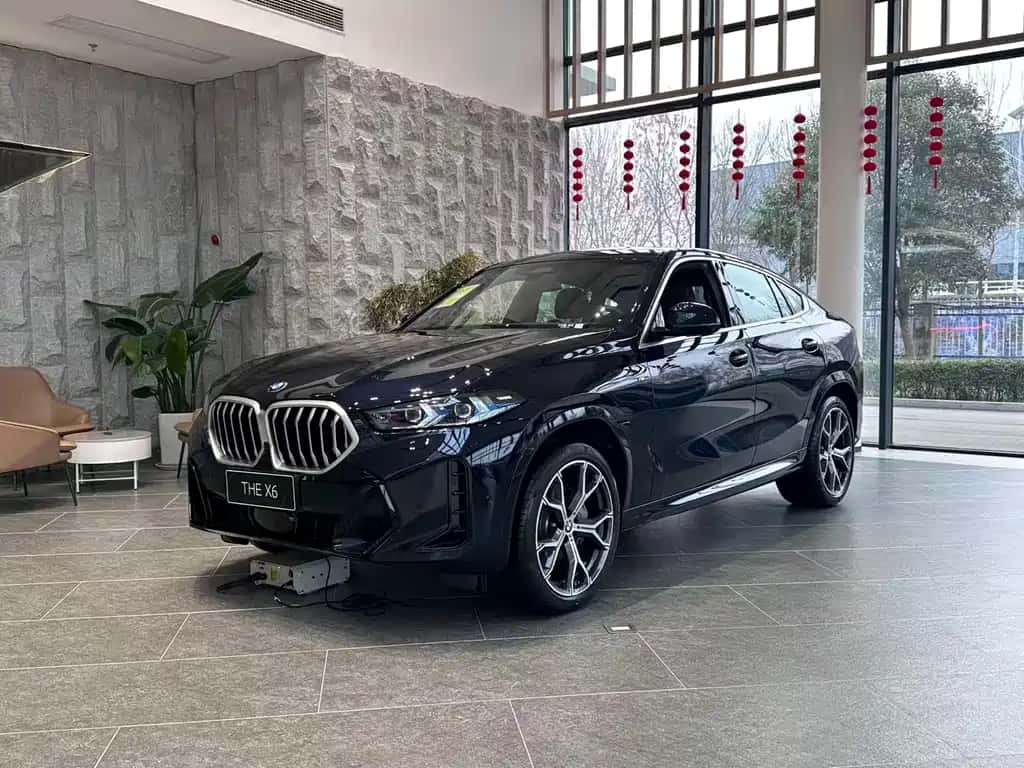 BMW BMW X6