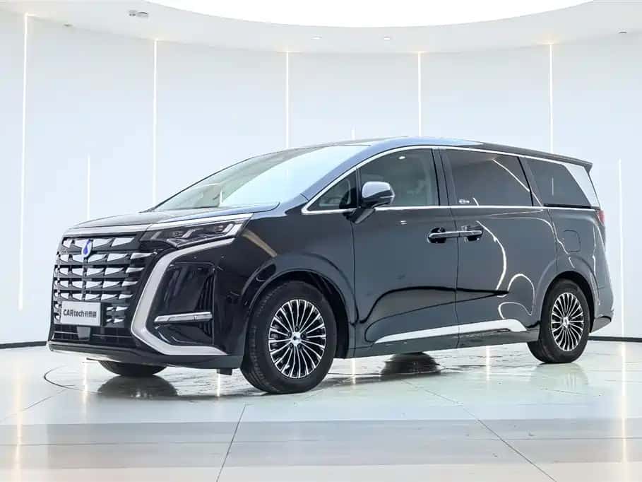 Denza Denza D9