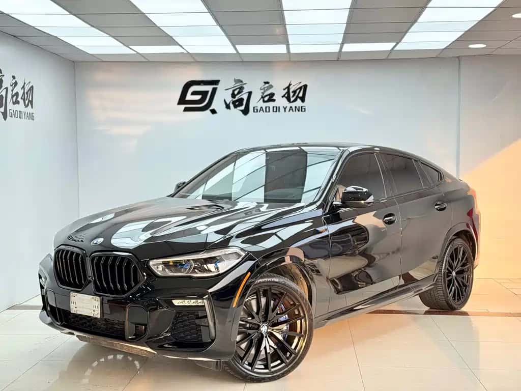 BMW BMW X6