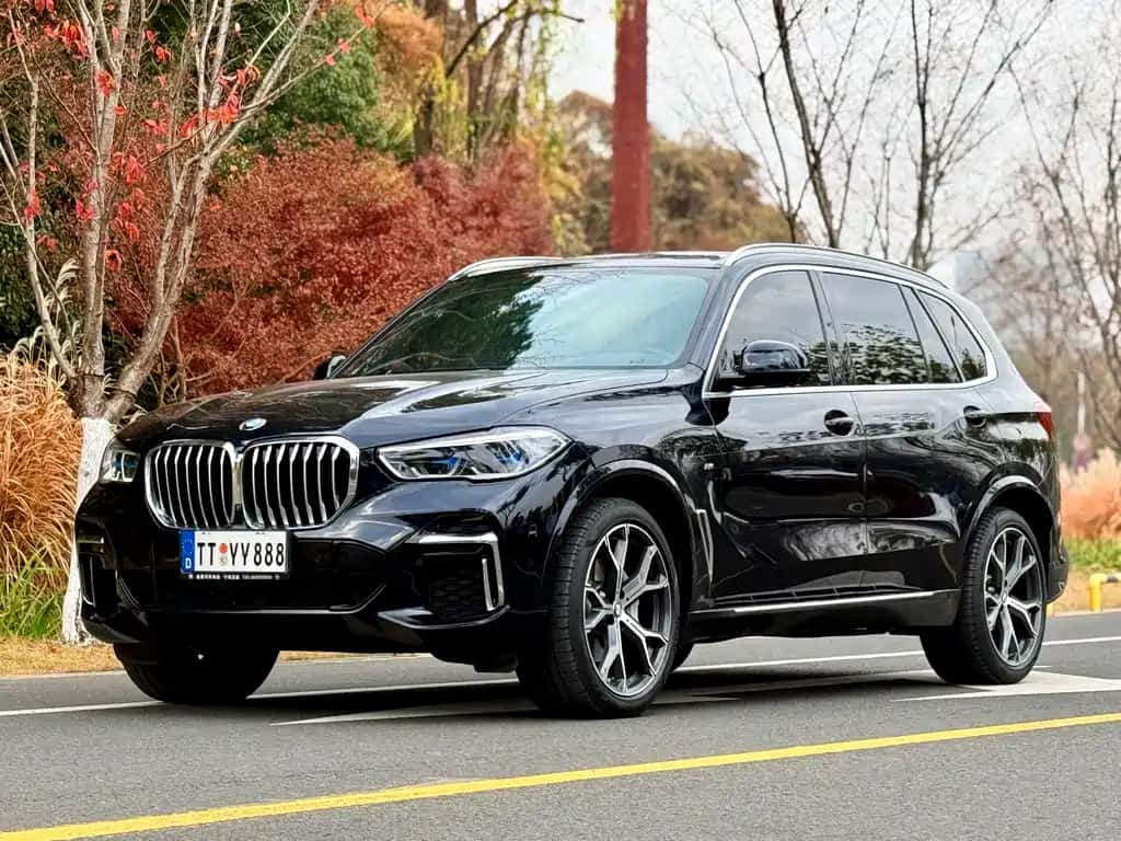 BMW BMW X5