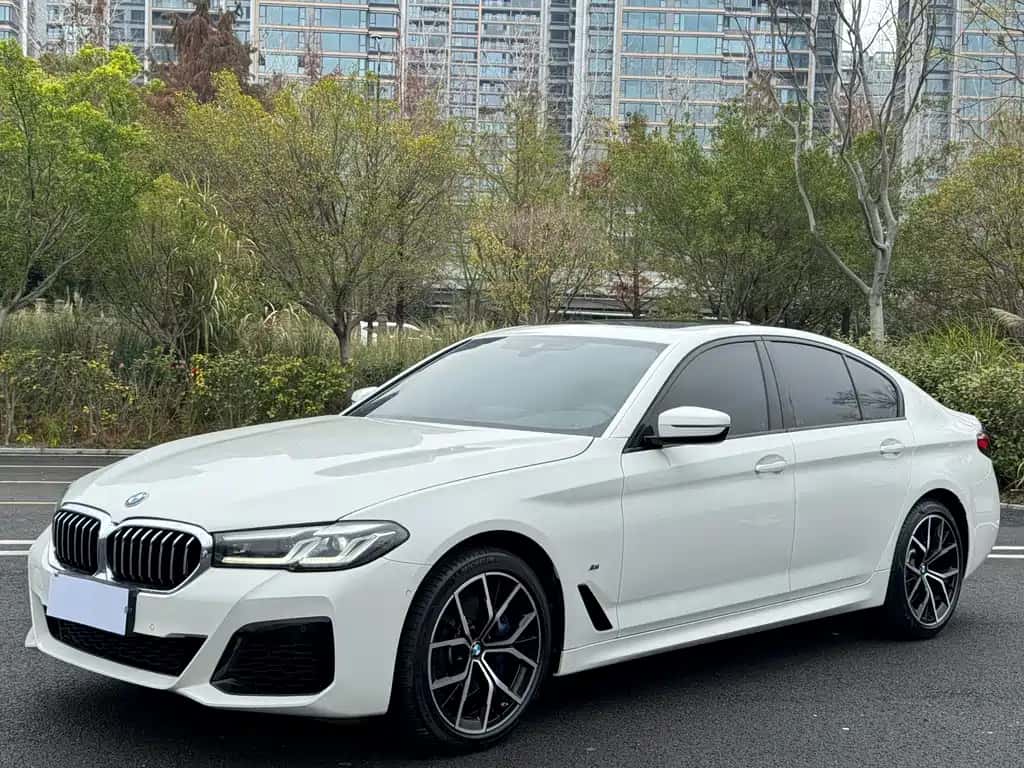 BMW BMW 5 Series (Import)
