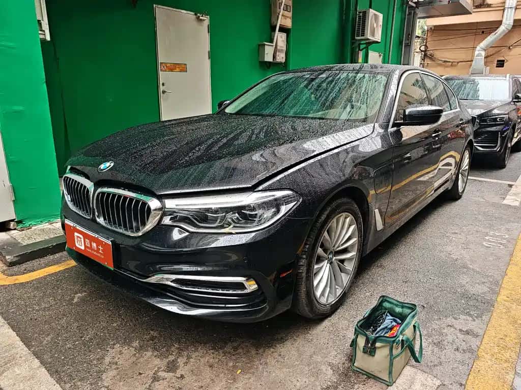BMW BMW 5 Series New Energy