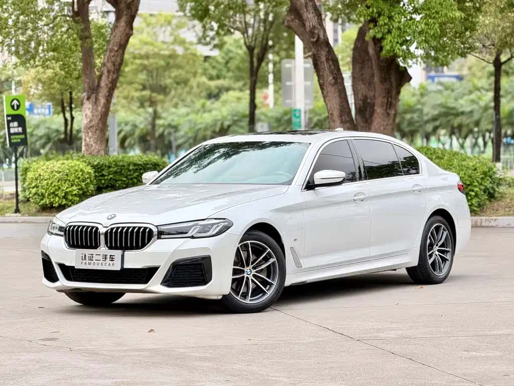 BMW BMW 5 Series