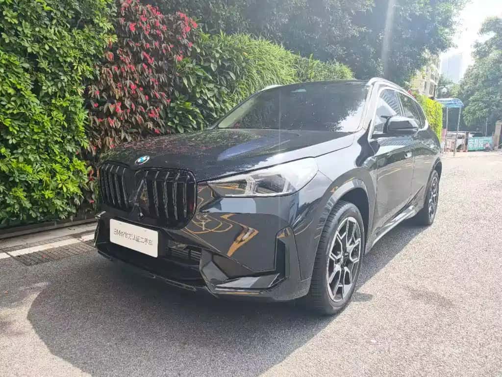 BMW BMW X1