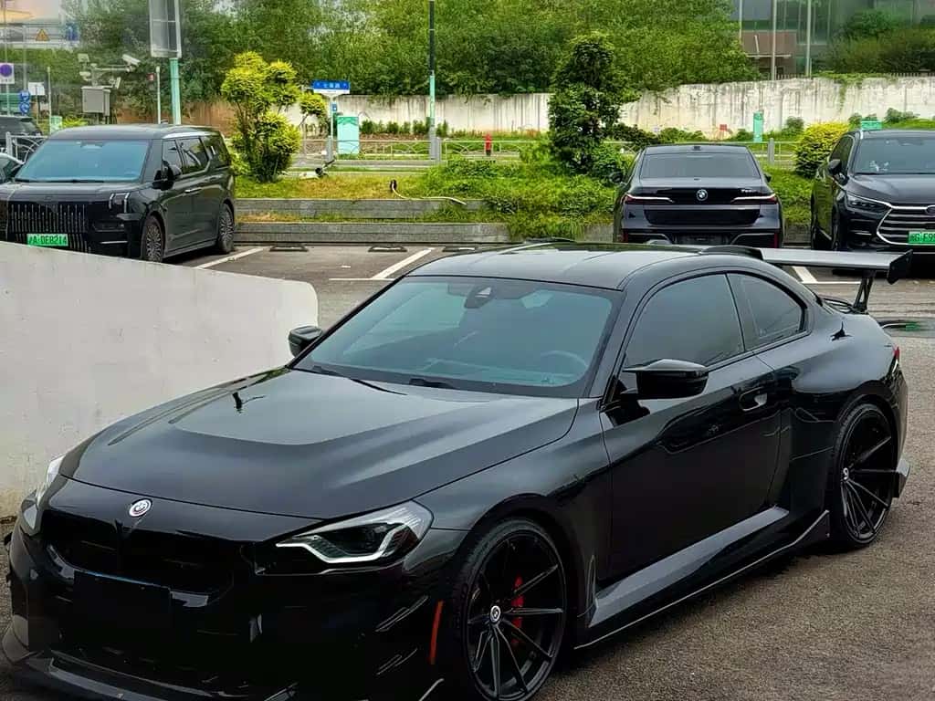 BMW BMW M2