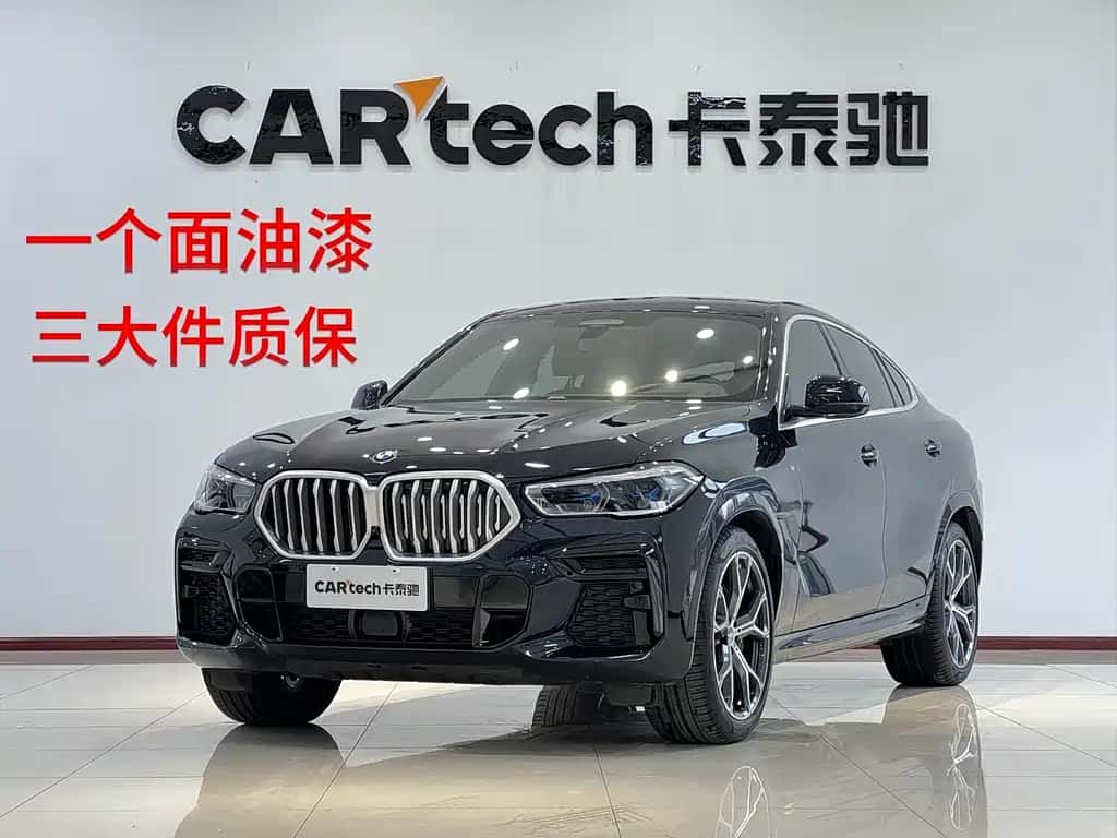 BMW BMW X6