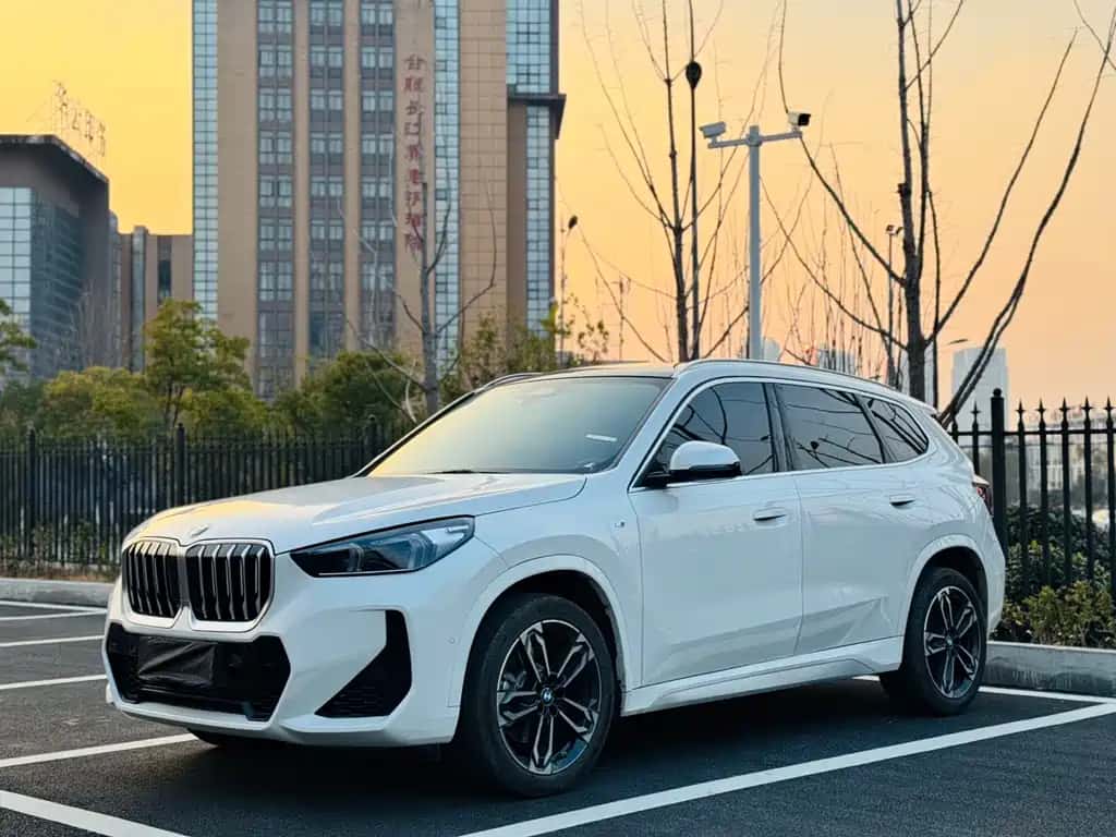 BMW BMW X1