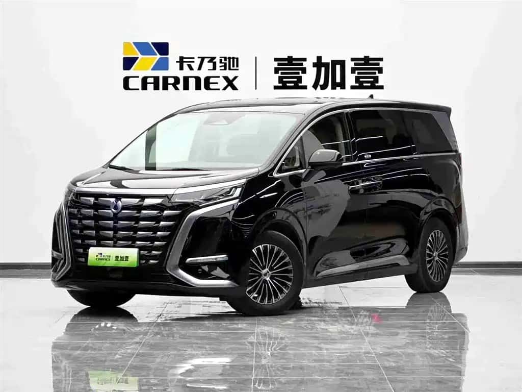 Denza Denza D9