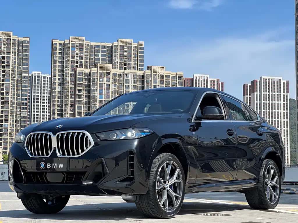 BMW BMW X6