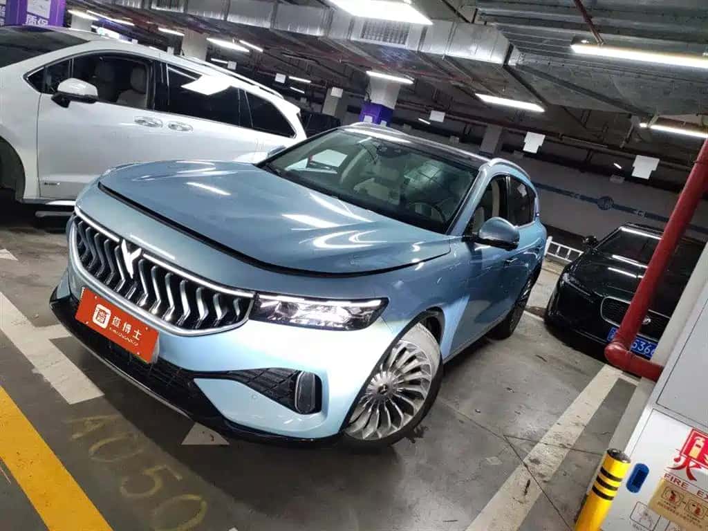 Voyah Auto Voyah FREE