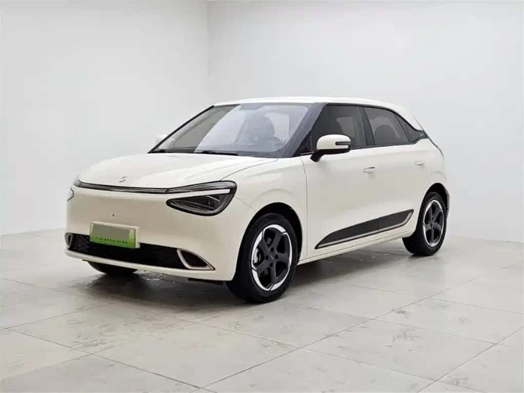 Dongfeng Yipai Nammi 01