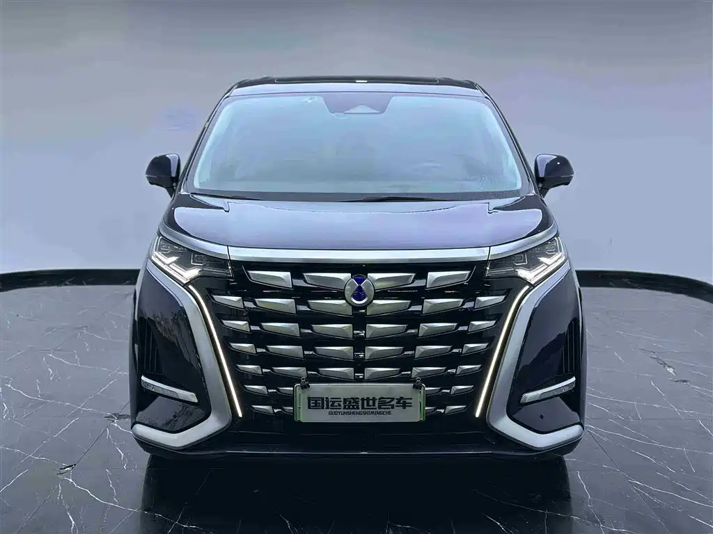 Denza Denza D9 2022 DM-i 970 AWD Флагманский 2023 - thumbnail 2