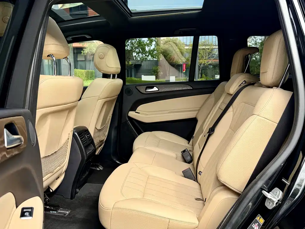 Mercedes-Benz Mercedes-Benz GLS 450 (2018) 2018 - thumbnail 16
