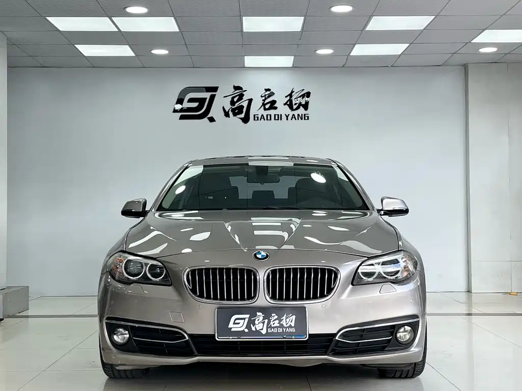 BMW BMW 5 Series 525Li Luxury Design Package (2014) 2015 - thumbnail 2