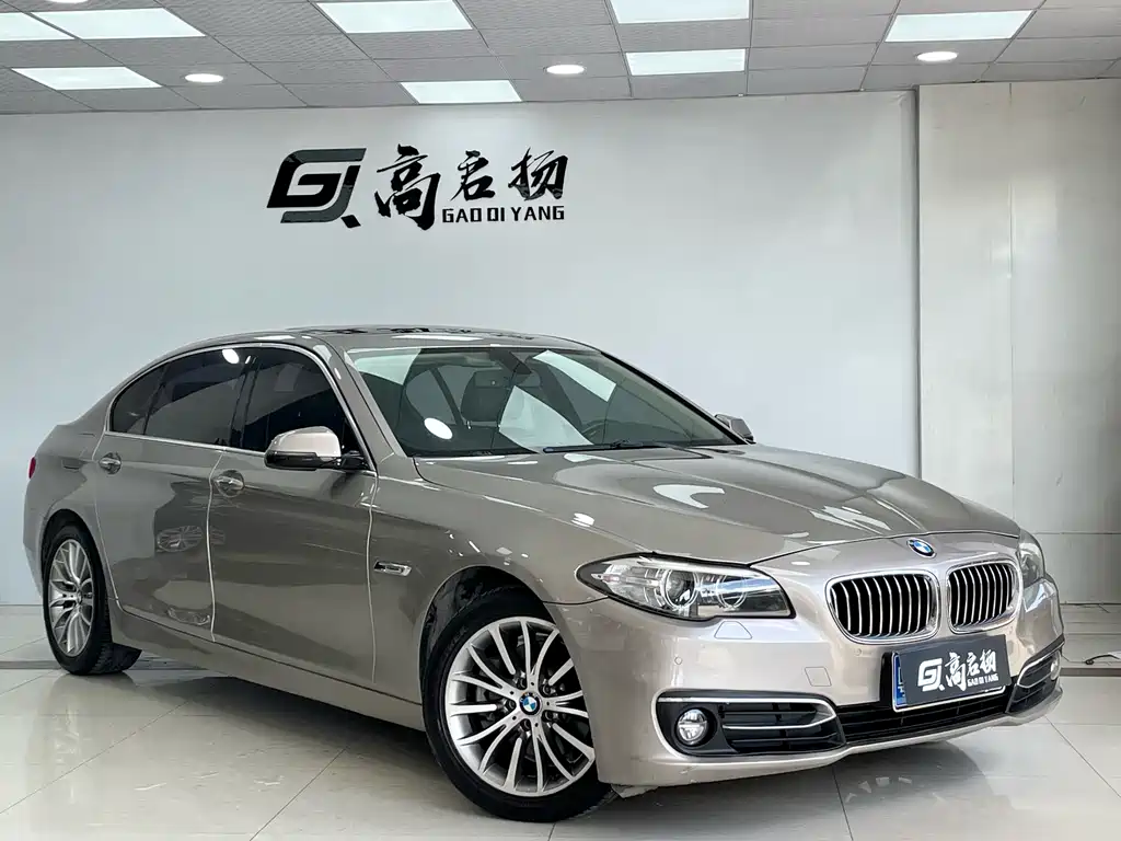 BMW BMW 5 Series 525Li Luxury Design Package (2014) 2015 - thumbnail 3